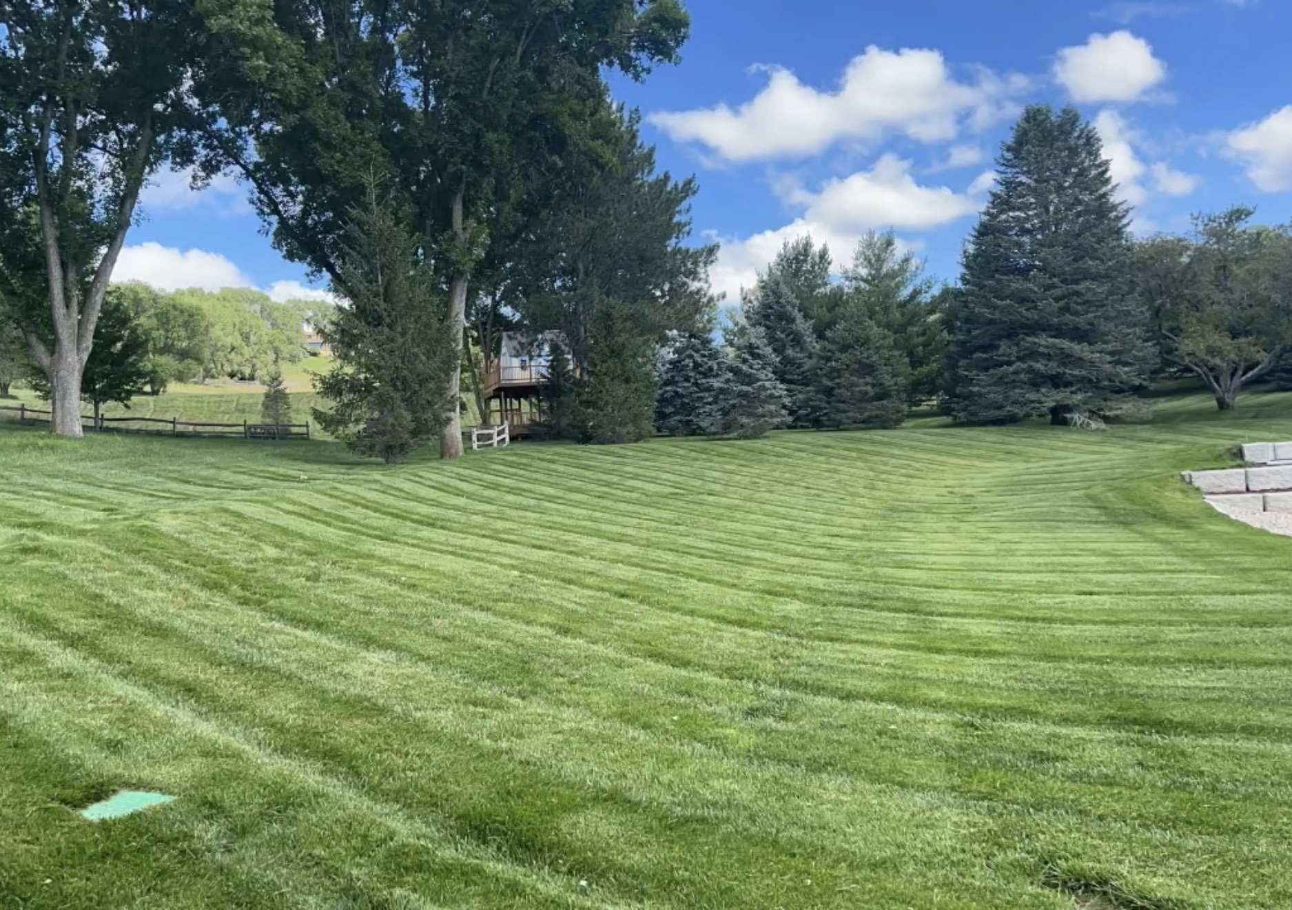 Lawn Fadez recent lawn care work